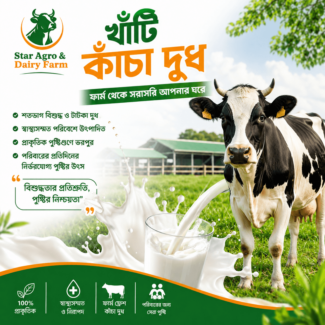 যত্নে বেড়ে ওঠা সুস্থ গরু ও খাঁটি দুধ